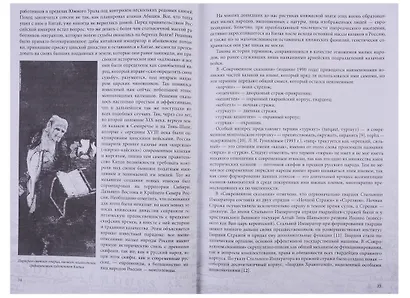 Гвардия стального императора. Тайна происхождения русского народа - фото 5