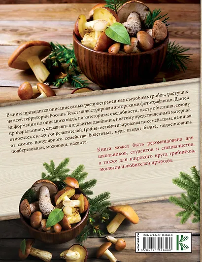 Самые распространенные съедобные грибы - фото 2