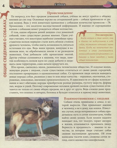 Собаки. Энциклопедия - фото 3