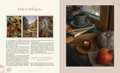 Записки цветочной феи. Сказочные истории, народные приметы и волшебные рецепты - фото 6