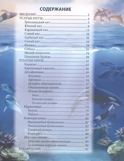 Киты и дельфины - фото 2