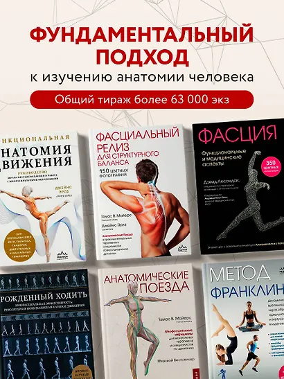 Функциональная анатомия движения. Руководство по анализу биомеханики и работе с миофасциальными меридианами - фото 7