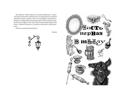 Похождения бравого солдата Швейка: Том 1. Том 2 (комплект из 2 книг) - фото 4