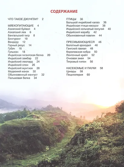 ЭНЦИКЛОПЕДИЯ ДЛЯ ДЕТЕЙ новые. КТО В ДЖУНГЛЯХ ЖИВЁТ? - фото 2