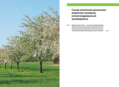 Феномен медоносной пчелы. Биология суперорганизма - фото 8