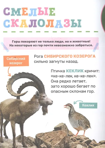 Животные - фото 4