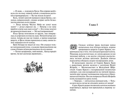 Юность Грома - фото 4