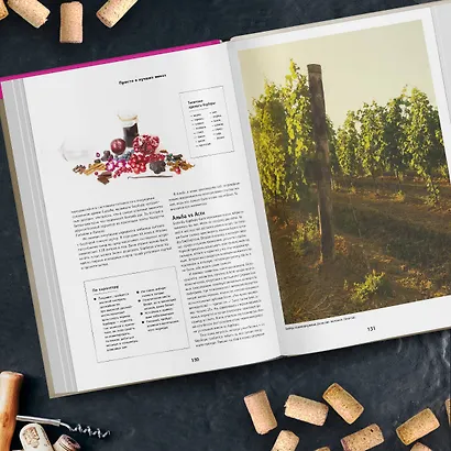Просто о лучших винах. Новая энциклопедия. Издание 2-е, дополненное - фото 8