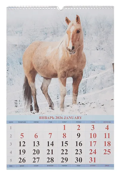 Календарь 2026г 320*480 "Год Лошади. Вид 1" настенный, на спирали - фото 2