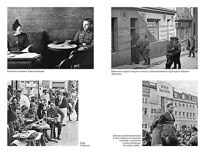 Мобилизованная нация: Германия 1939–1945 - фото 11