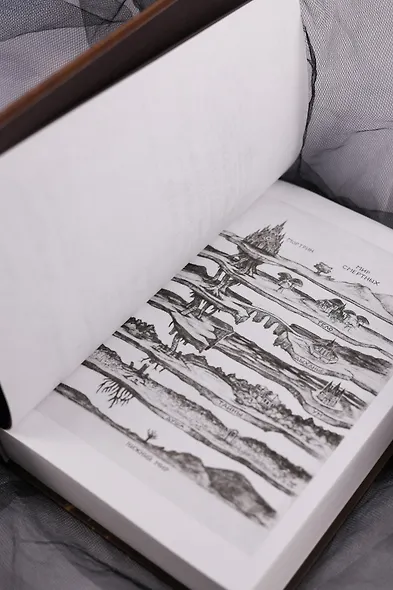 Короны Ниаксии. Певчая птица и каменное сердце. Книга первая из дилогии о тенерожденных - фото 14