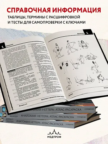 Анатомия Неттера: атлас-раскраска - фото 6