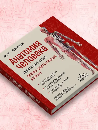 Анатомия человека. Компактный атлас. Опорно-двигательный аппарат - фото 9