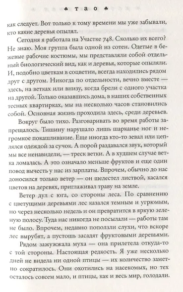 История пчёл - фото 3