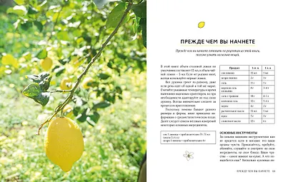 Лимон: От корки до корки. Яркие рецепты с цитрусовыми нотками - фото 4