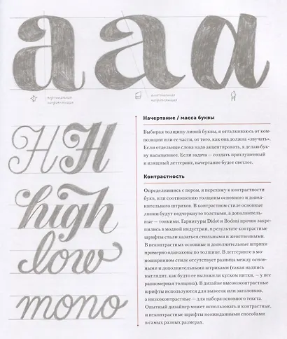 Про леттеринг. От карандашного наброска до векторной графики: процесс работы профессионального леттерера - фото 5