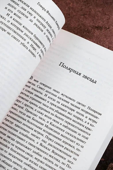 Хребты безумия - фото 10