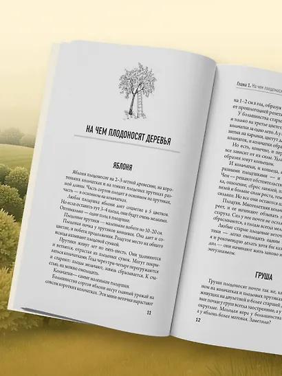 Обрезка и формировка деревьев и кустарников - фото 13