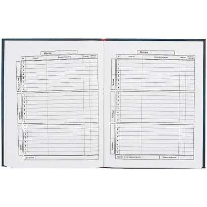 Дневник школьный Феникс+, "К знаниям!" - фото 2