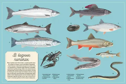 Муми-тролли на рыбалке - фото 9