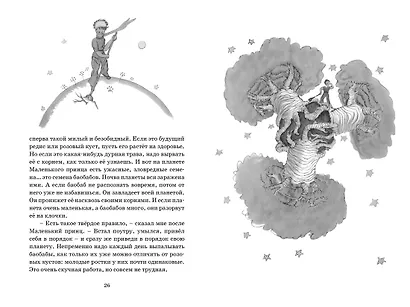 Маленький принц - фото 8