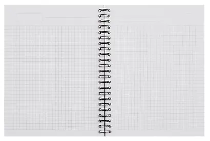 Тетрадь 120 листов в клетку "Blossom. Peonies on black", на спирали - фото 3