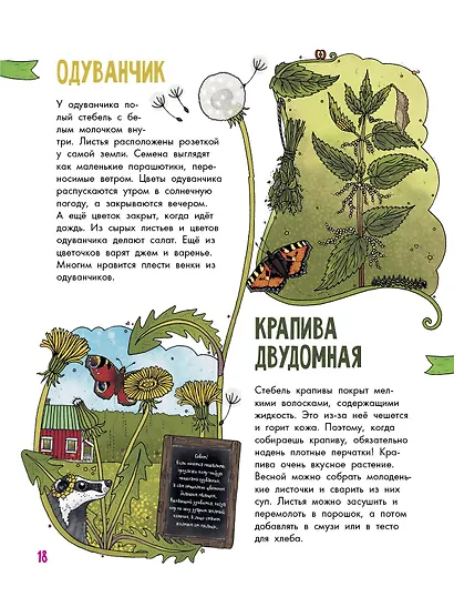 Цветы и растения - фото 6