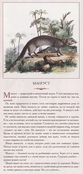 Животный мир Южной Азии. Красивые звери таинственных стран - фото 2