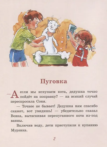 Пуговка. Рассказы - фото 2