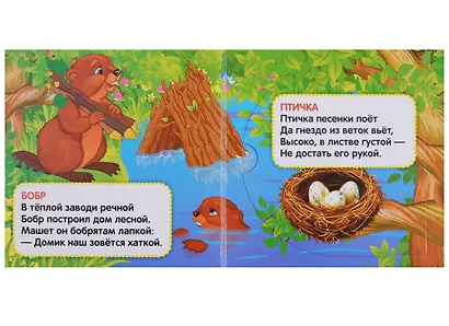 Кто, где живет - фото 5