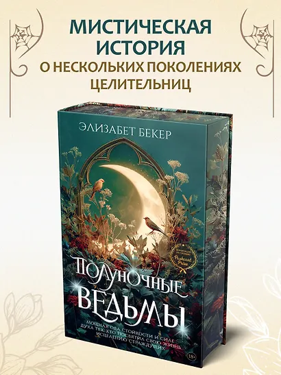 Полуночные ведьмы - фото 4