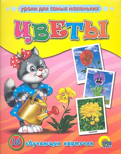 ОБУЧАЮЩИЕ КАРТОЧКИ. ЦВЕТЫ - фото 1