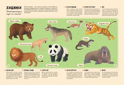 Животные - фото 7