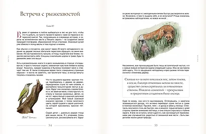 За руку с лесом. Жизнь в ритме природы, янтарный мёд и деревенское крыльцо - фото 7