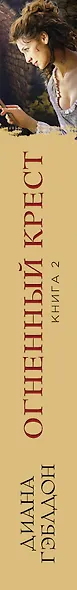 Огненный крест. Книга 2. Зов времени - фото 5