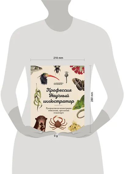 Профессия — Научный иллюстратор. Руководство по иллюстрации в биологии, археологии и палеоарте - фото 8