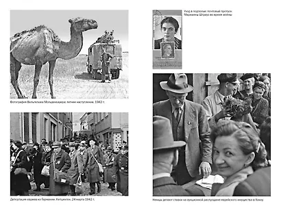 Мобилизованная нация: Германия 1939–1945 - фото 12