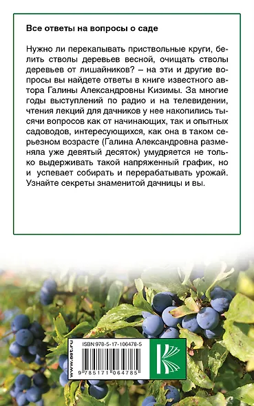 Все ответы на вопросы о саде - фото 2