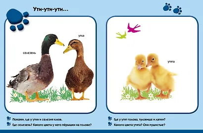 На ферме. Развиваем малыша (0-1 год) - фото 4