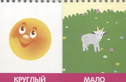 Найди и сравни - фото 5