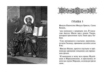 Святое Евангелие (с ил.) (с грифом РПЦ) - фото 7