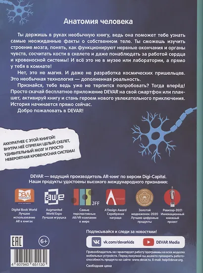 Анатомия человека - фото 2