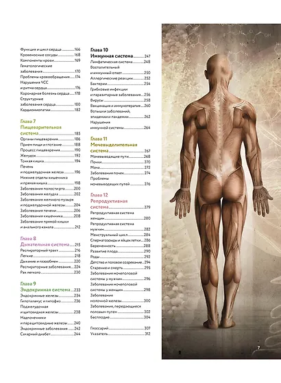 Анатомия человека. Визуальный гид по всем системам организма: норма и патологии - фото 10