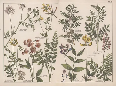 Мы все мертвы - фото 10