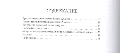 Подводная лодка "Акула" - фото 2