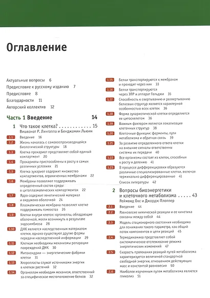 Клетки по Льюину - фото 2