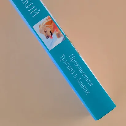 Приключения Трисона в Альпах - фото 6