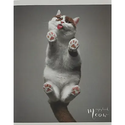 Тетрадь в клетку Listoff, "Пушистые лапки", 96 листов, в ассортименте - фото 5