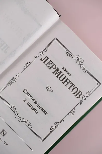 Стихотворения и поэмы - фото 8