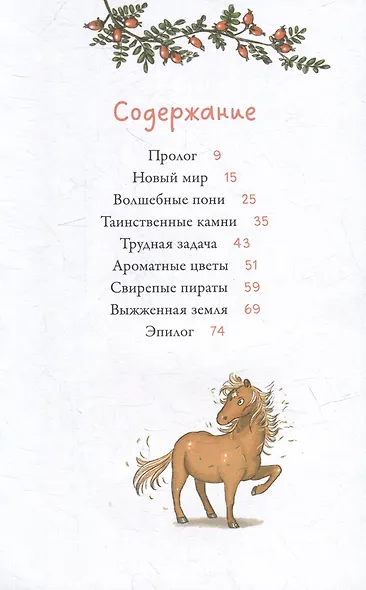 Облачные пони. Тайна волшебных камней - фото 5